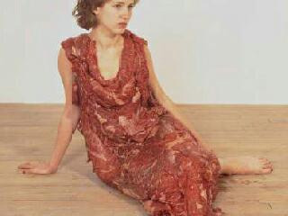 Meat dress.jpg