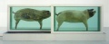 Hirst piggy.jpg